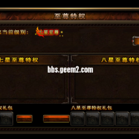 精美高大上会员NPC界面（带脚本）