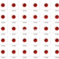 六色神珠每色12阶