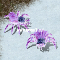 冰蜘蛛············