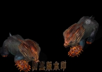 猪熊还是狗熊！！！！