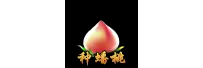 自定义按钮
