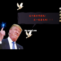 免费！