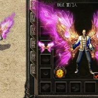 一组6个png翅膀内观外观坐标齐全~~回帖金币奖励