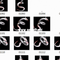 自己整理的蛇系列怪物礼包