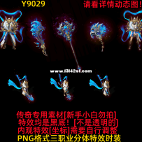 Y9029