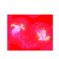 衣服内观鸾凤 护体特效 仅内观