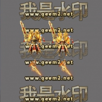 新品天尊男女剑甲套装