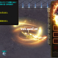 独家武器-RMB购买(已经不再出售的珍藏版)