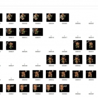 猪年猪怪&#128022;生活