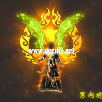 定制款 - 降龙灭天服