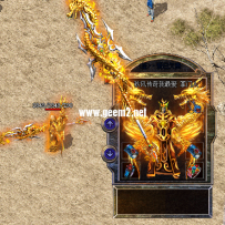 传奇剑甲素材 耀金圣龙（男女） 含衣服武器 内外观齐全