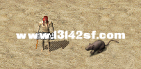 26008 一只老鼠