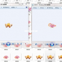 莲花特效法宝一堆